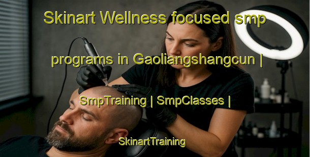 Skinart Wellness-focused smp programs in Gaoliangshangcun | SmpTraining | SmpClasses | SkinartTraining-China